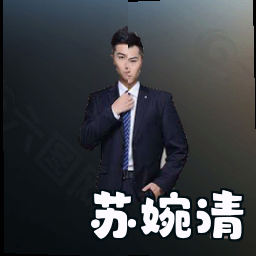 苏婉清